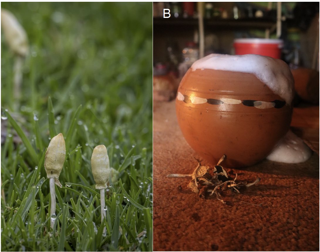 Paul F. Austin tweet media