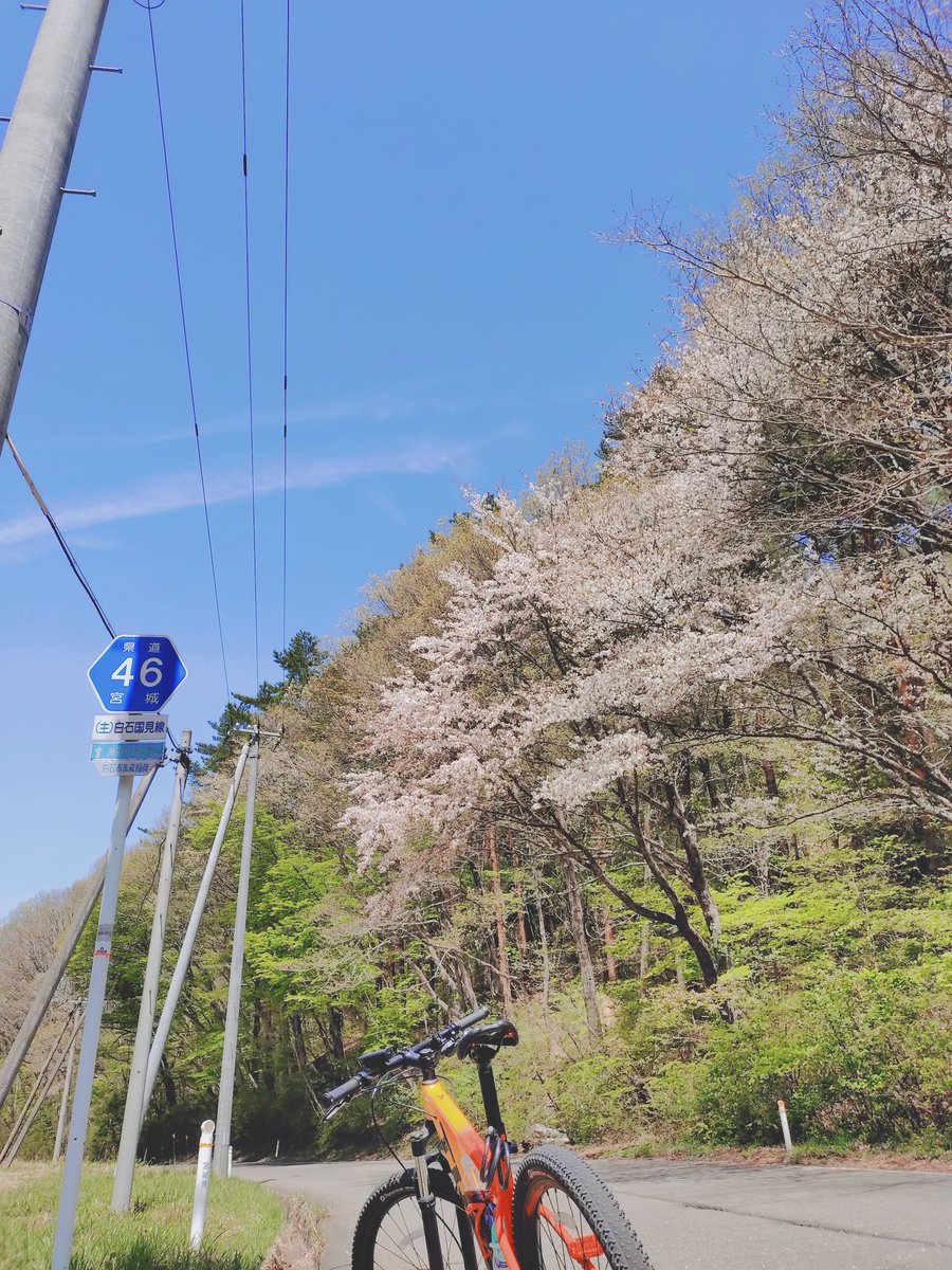 自転車ぱんだ tweet media