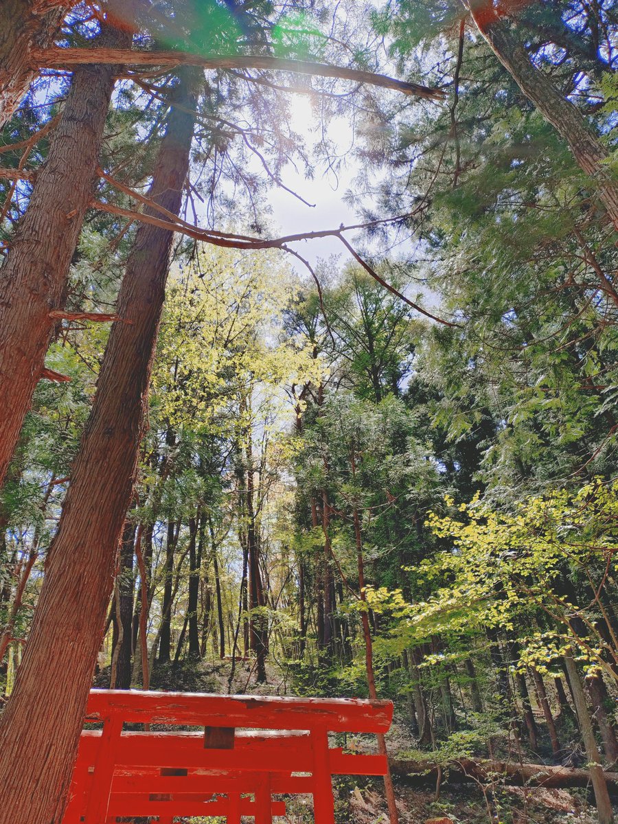 自転車ぱんだ tweet media