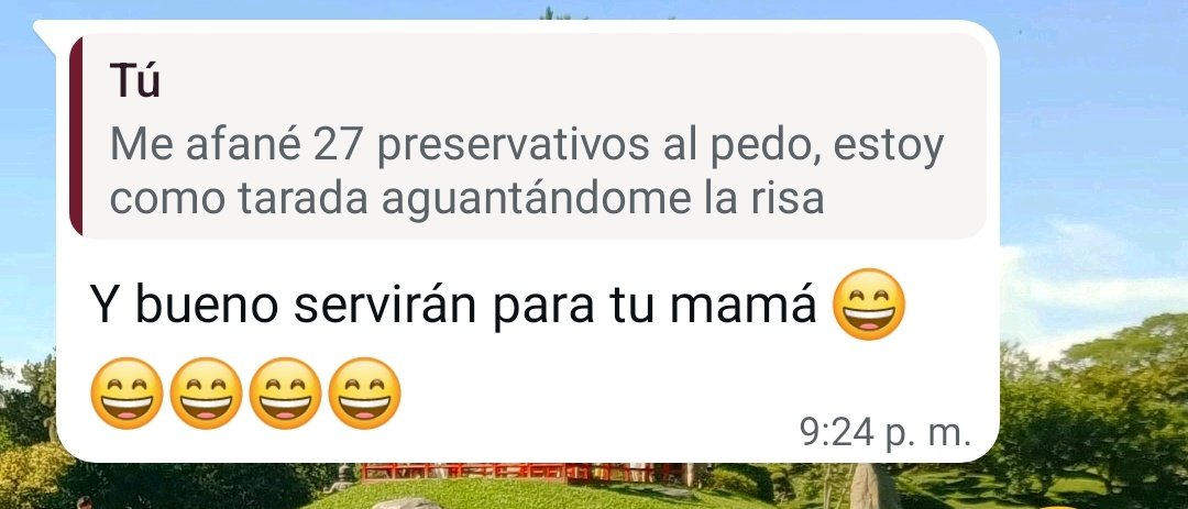 el miércoles junté el valor para afanarme 9 paquetes de forros del hospital para reventarle la próstata a mi novio ahora que me voy dos semanas a buenos aires y me los olvidé TODOS en mi mochila

la respuesta de mi mamá (60 años) que me está cuidando el depto:
