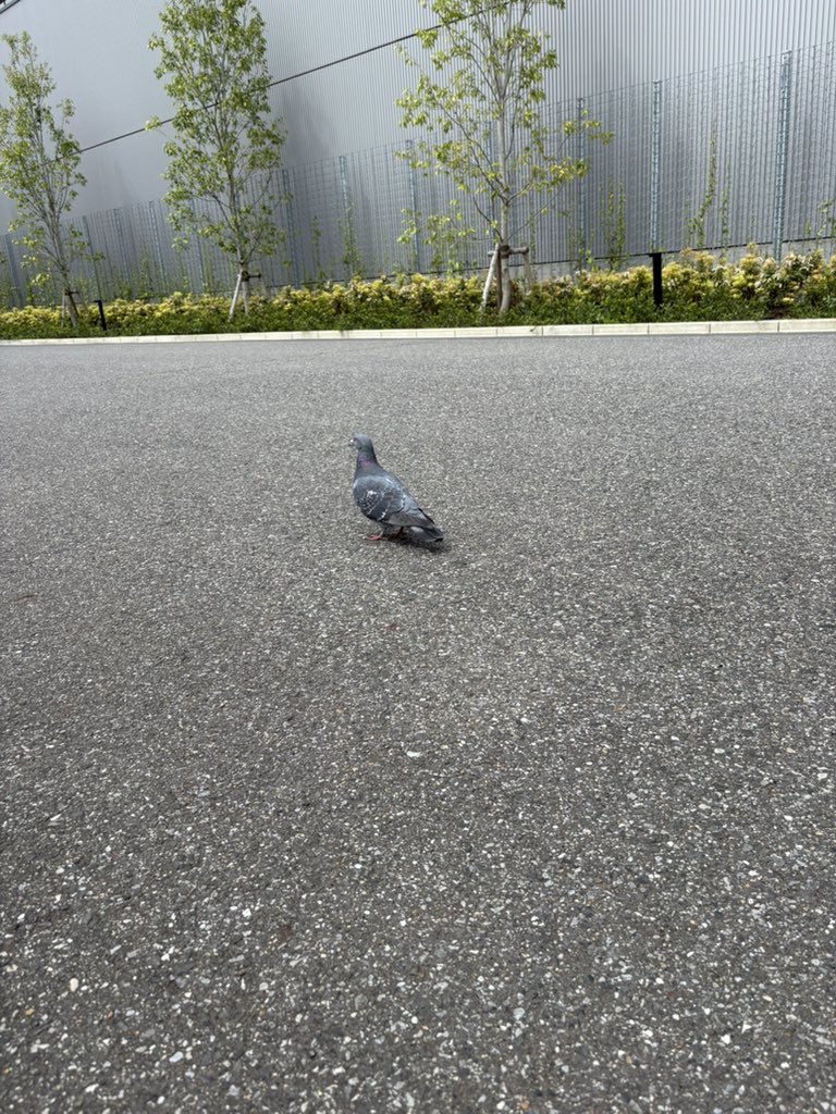 おたす🫵🤩 tweet media