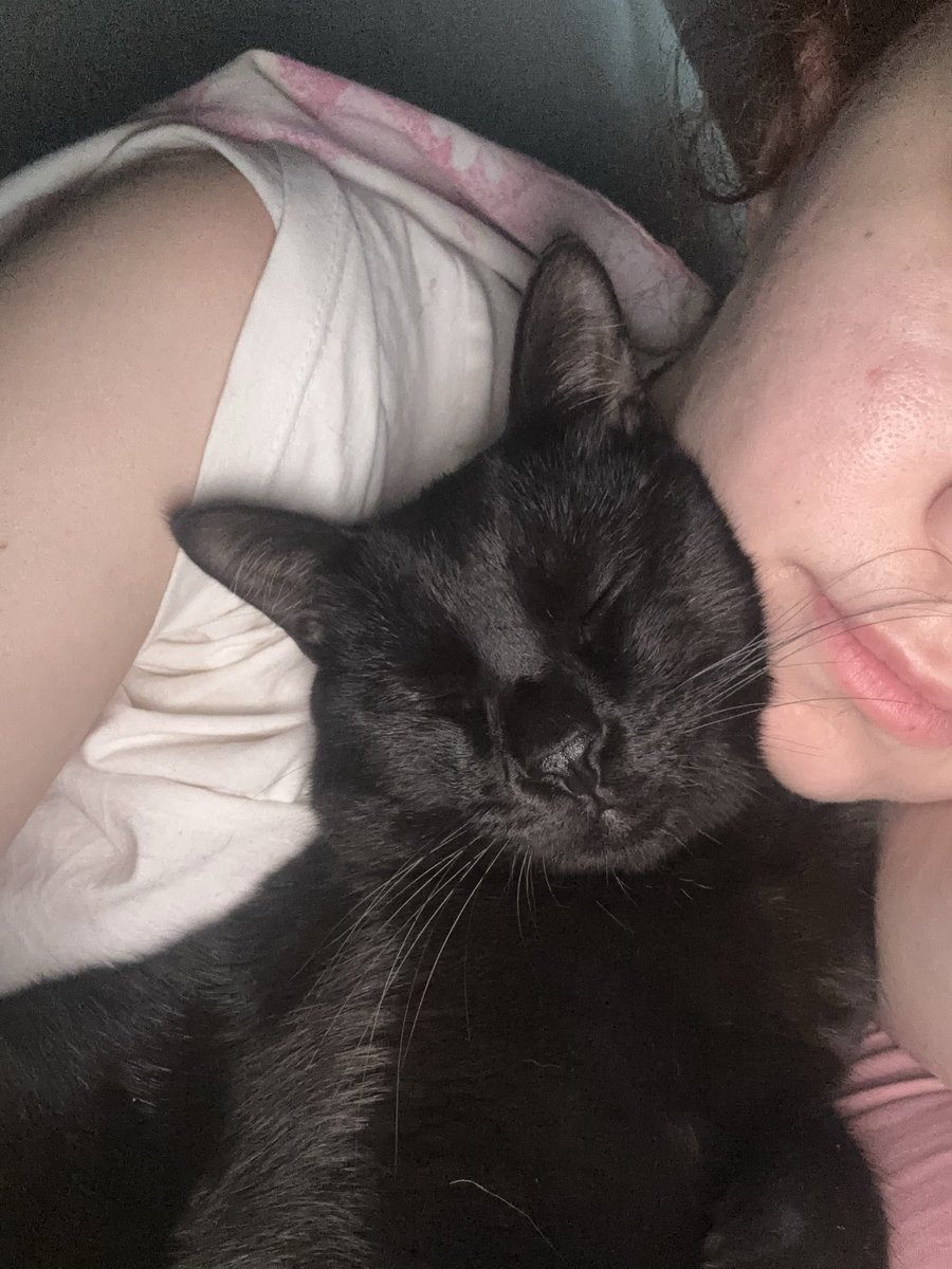 Ϳυℓια tweet media