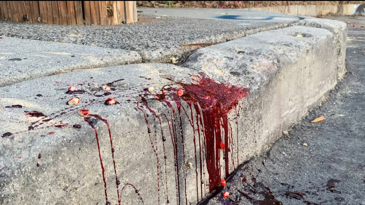 𝘝𝘌𝘙𝘔𝘐𝘕𝘊𝘐𝘋𝘌 tweet media