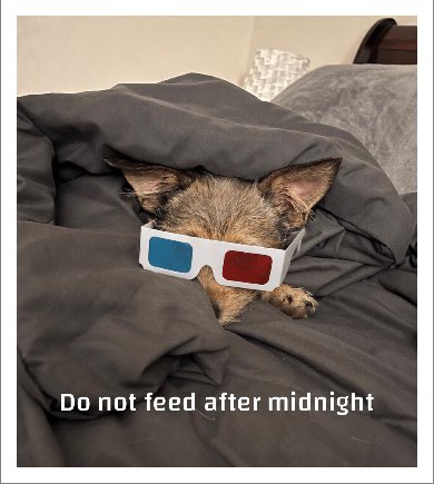 Lauren Thompson Boyd tweet media