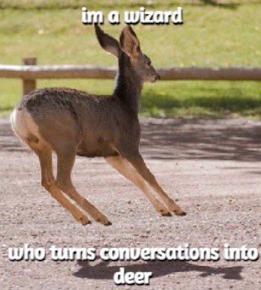 Deer in Places they Shouldn't Be tweet media