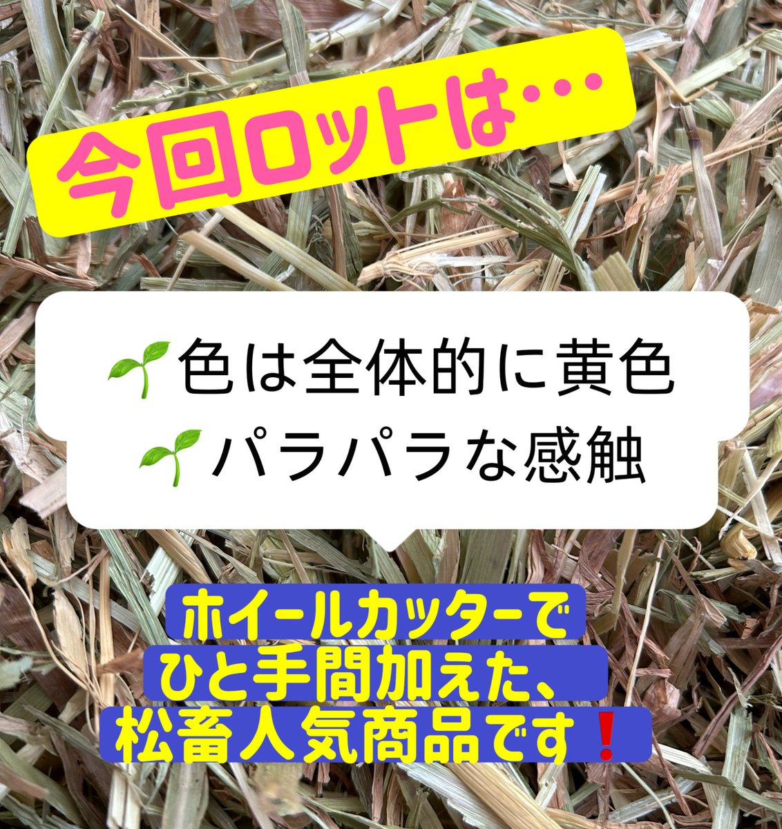 Animal_Foods's tweet photo. 松畜 Animal Foods入荷ロット‼️🌻
『松畜牧草 スーパープレミアム
オーツヘイショート』🌿
本日発送分より🫡　　

今回のロットは
🌱全体的に黄色の色味
🌱パラパラな感触

松畜牧草の特徴⬇️

🌸愛情込めて🌸
丁寧にカットしてます❣️

牧草にお悩みの方
一度お試ししてみてください😍

⭕️オーストラリア産
#松畜AnimalFoods
#松畜
#松畜牧草
#オーツヘイ
#ショート

https://t.co/SJyZGWzGS2

☝️ヤフーフリマURLです☝️
楽天市場・Amazon☞もチェック❣️
ヤフオク・ラクマで松畜牧草と検索🔍🌱