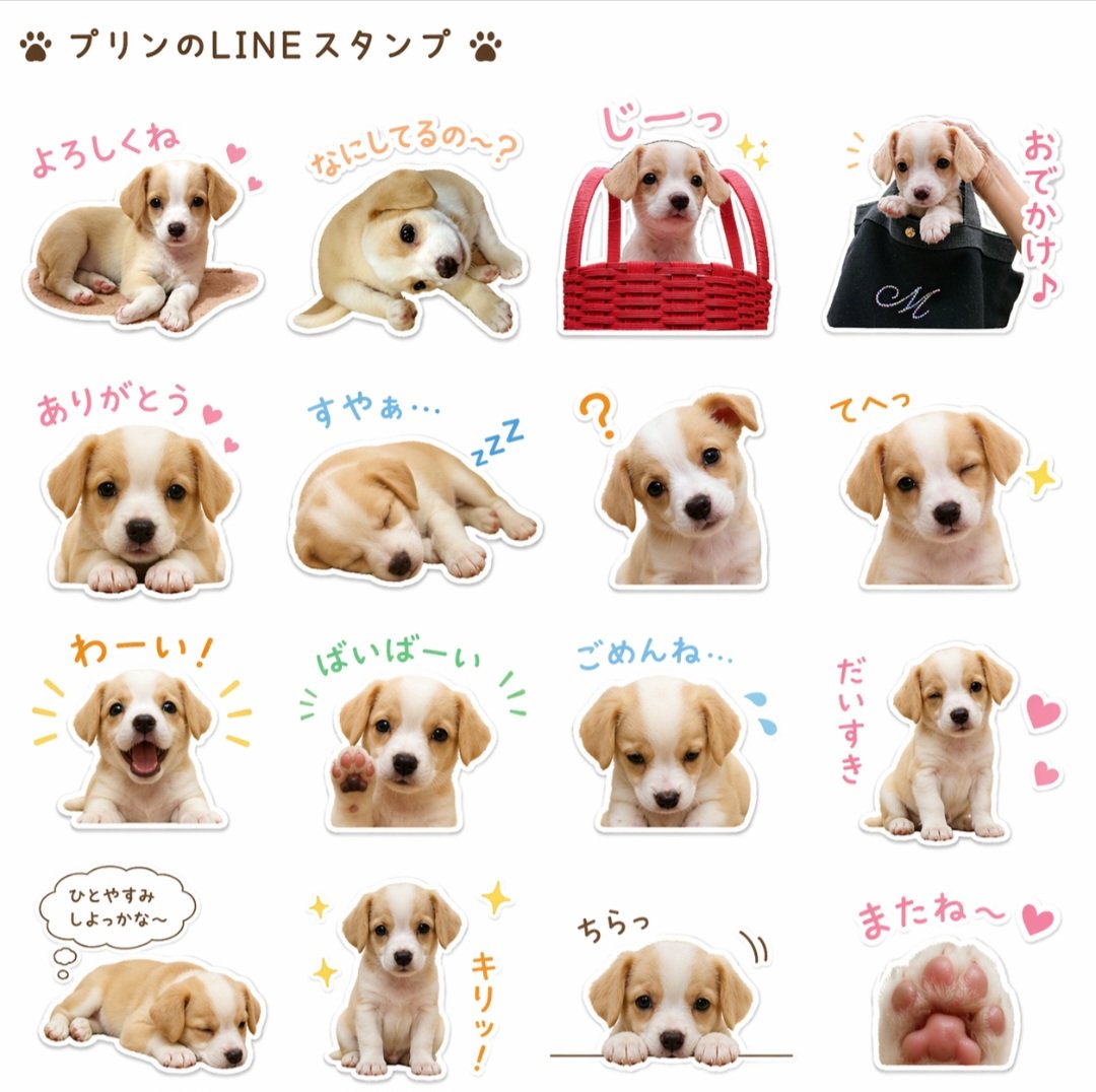 にこりん tweet media