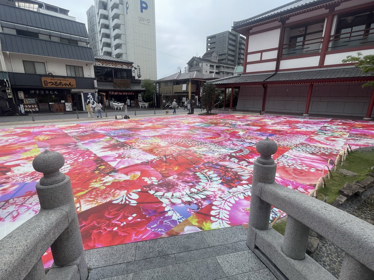 あいしの⭐️4結 東大阪→佐田岬→道後温泉♨️→川崎→上野→ＧＷひきこもり tweet media
