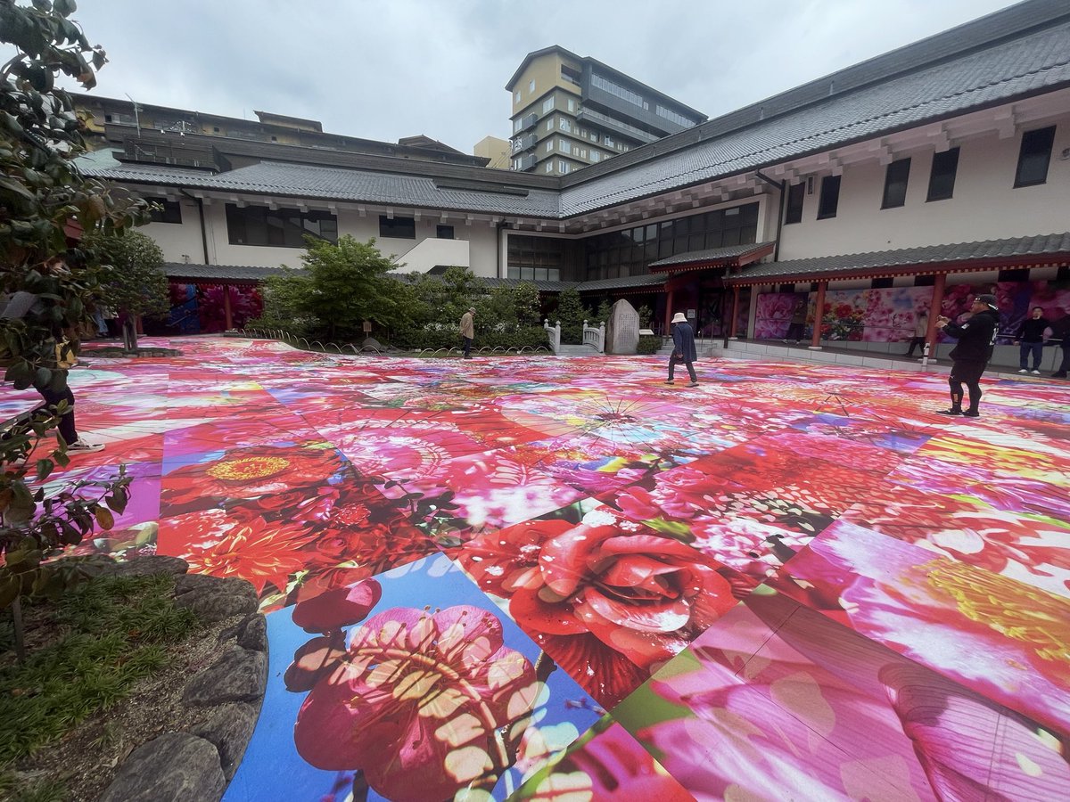 あいしの⭐️4結 東大阪→佐田岬→道後温泉♨️→川崎→上野→ＧＷひきこもり tweet media