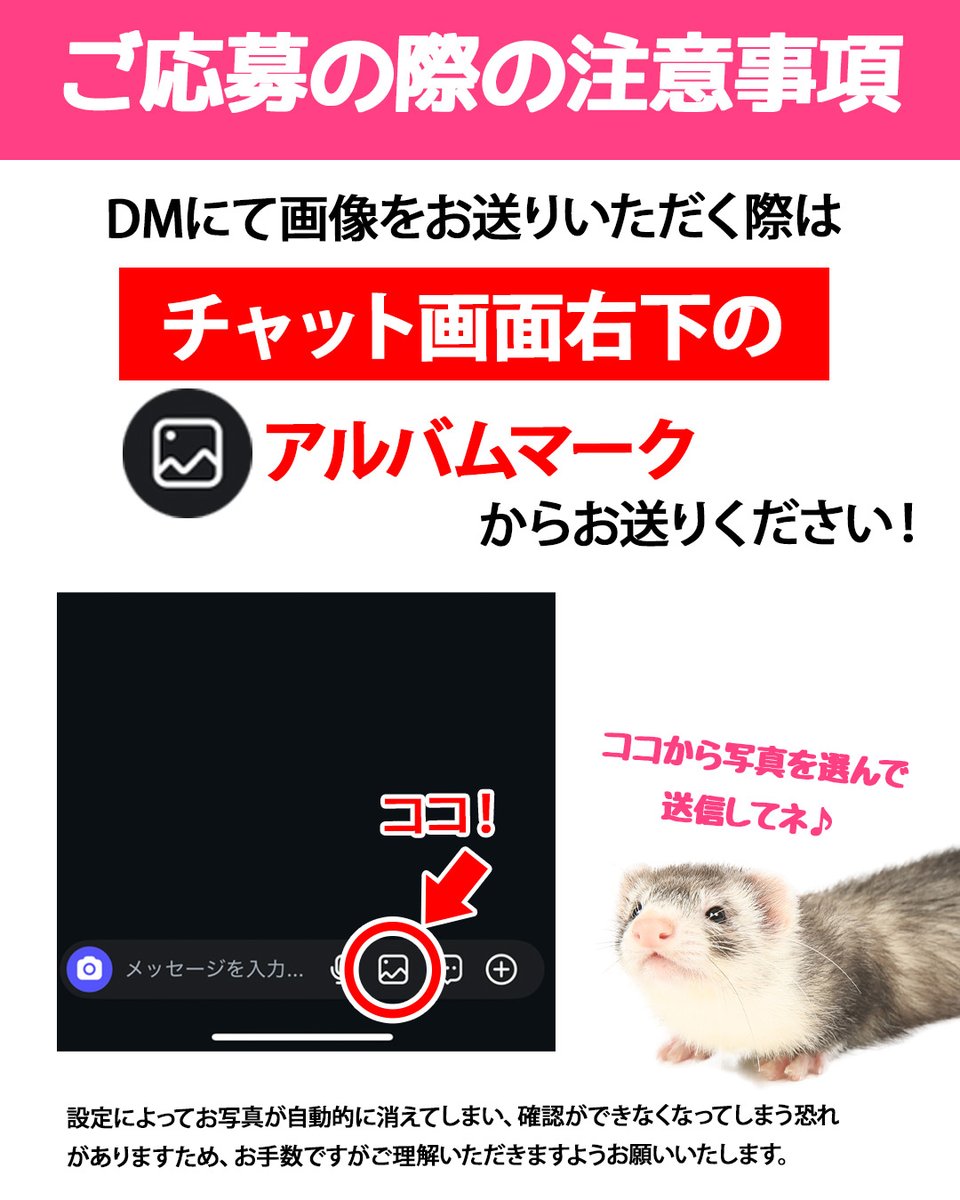 アニマルEXPO2026@5/10開催 tweet media