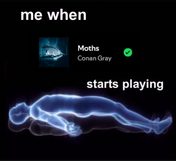 babs is seeing conan ⭑ tweet media