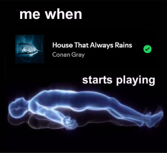 babs is seeing conan ⭑ tweet media