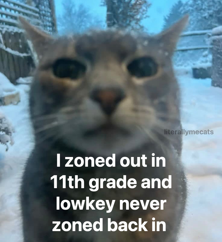 literallymecats's tweet photo. https://t.co/7RPitply2r