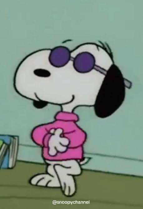 Rafael Sebastián tweet media