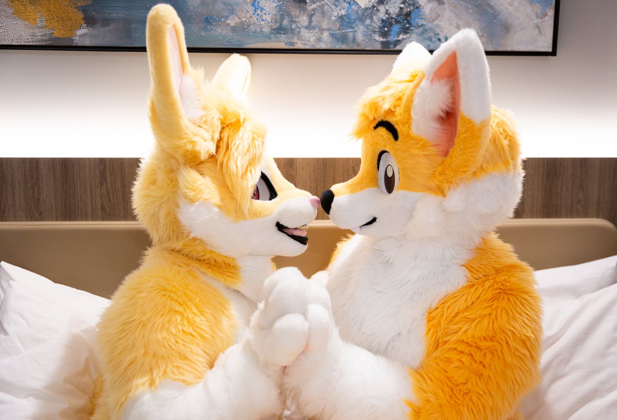 I manage to *kidnap* this cute bunny at #Furdu 🛏️ 🐾 But I think "they" kidnapped me, and stole my heart instead... 🦊💦💘🐰💕

It was so lovely meeting you Sunny!!!~ 💛💛💛

🐰🐾: <a href="/SunnyBunnyBun/">Sunny Bunny</a>
📸: <a href="/ShujjaWuff/">ShujjaFolf</a> 

#FursuitFriday #Furdu2026 #Fursuit