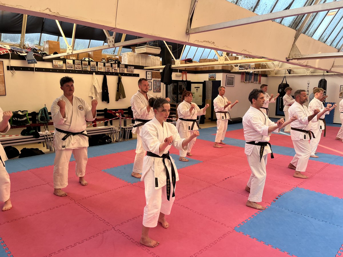 Doryoku Ryu Karate tweet media