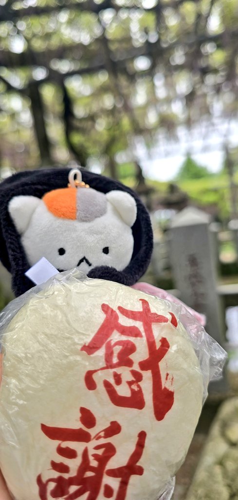 山田の藤見に行って来ました〜✻*˸ꕤ*
満開時期を過ぎてしまっていますが、まだ綺麗でしたよ〜✨