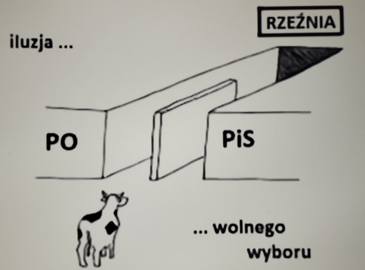 Mędrek 🇵🇱 tweet media