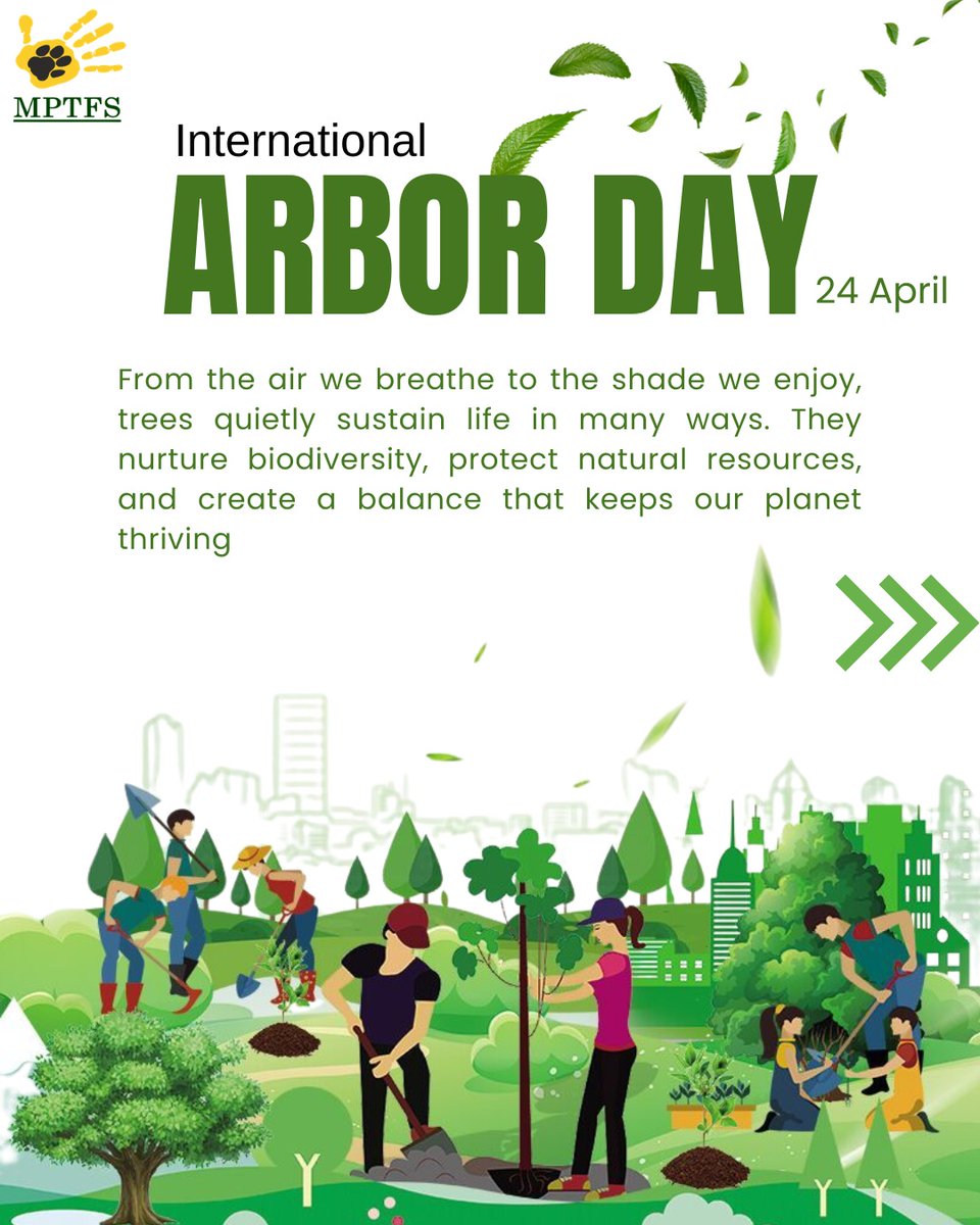 mptfs's tweet image. Trees quietly sustain life in countless ways from the air we breathe to the balance of our ecosystems.
This International Arbor Day, let’s recognize their value and take a step towards protecting our green cover. 

Protect trees. Preserve life. 

#arborday #planttrees