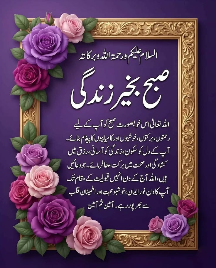 FA Malik tweet media