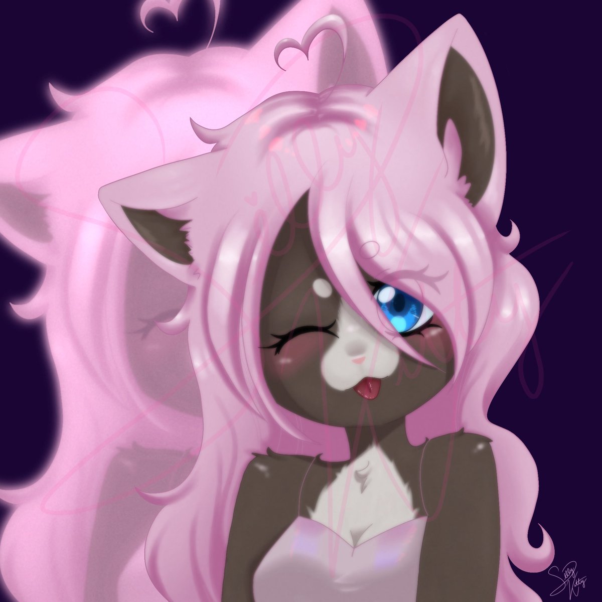 Silly Kitty tweet media