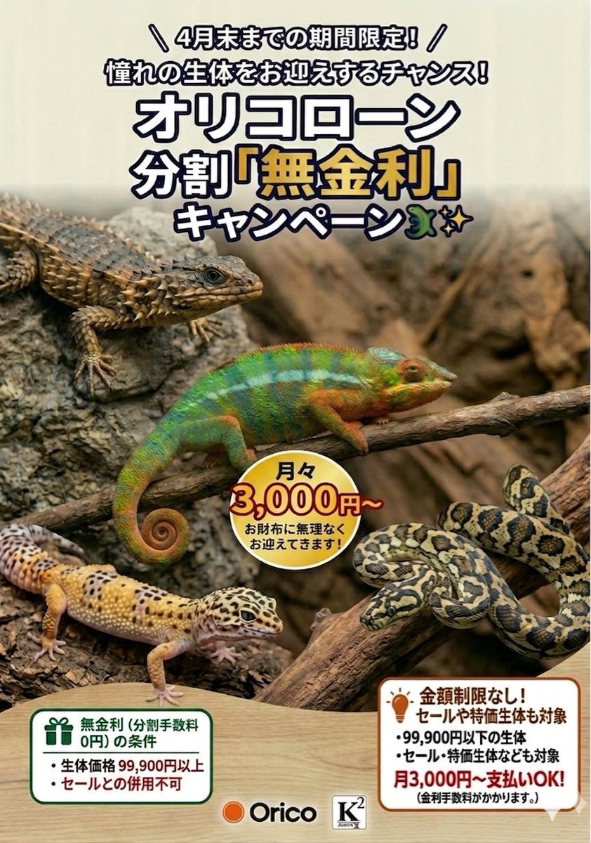 もうちょっとで終わってしまうー😭 狙ってる生体がいる方は急げー💨