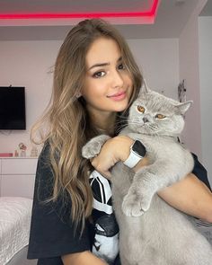 Kenneth Gimson tweet media