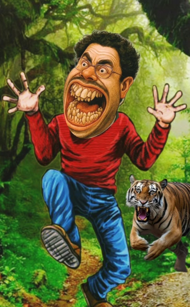 pilar cortes tweet media