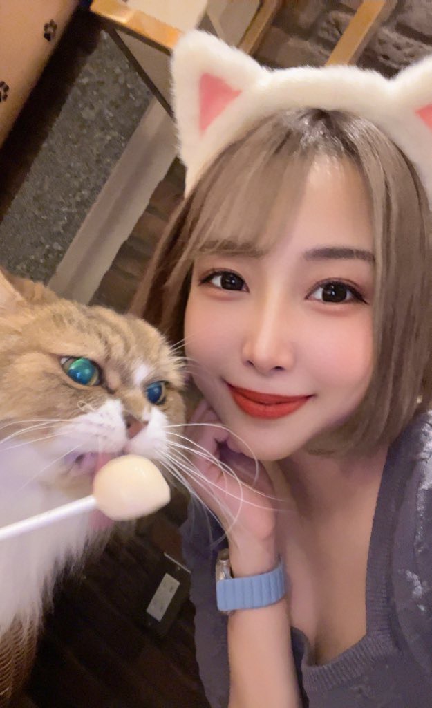 麻雀Bar Watch tweet media