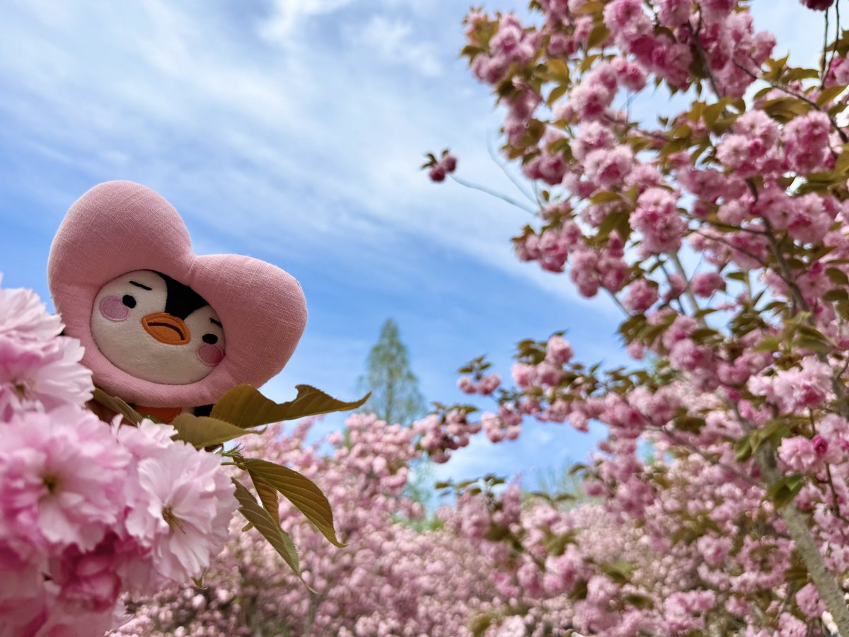 제62회 백상예술대상 
인기상 투표 인증 이벤트

04.24 12:00 ~ 05.05 23:59
⭐️ m.entertain.naver.com/poll/polling?i…

이준호에게 투표-인용으로 투표 인증★ 
⭐️‘10회 이상’인증해 주시는 분들 중 추첨 (매일 인용 인증👌🏻,투표 인증 타래도 🫶🏻)

복숭아 파우치 + 통통 하트 복숭아
3분께 보내드릴게요💗