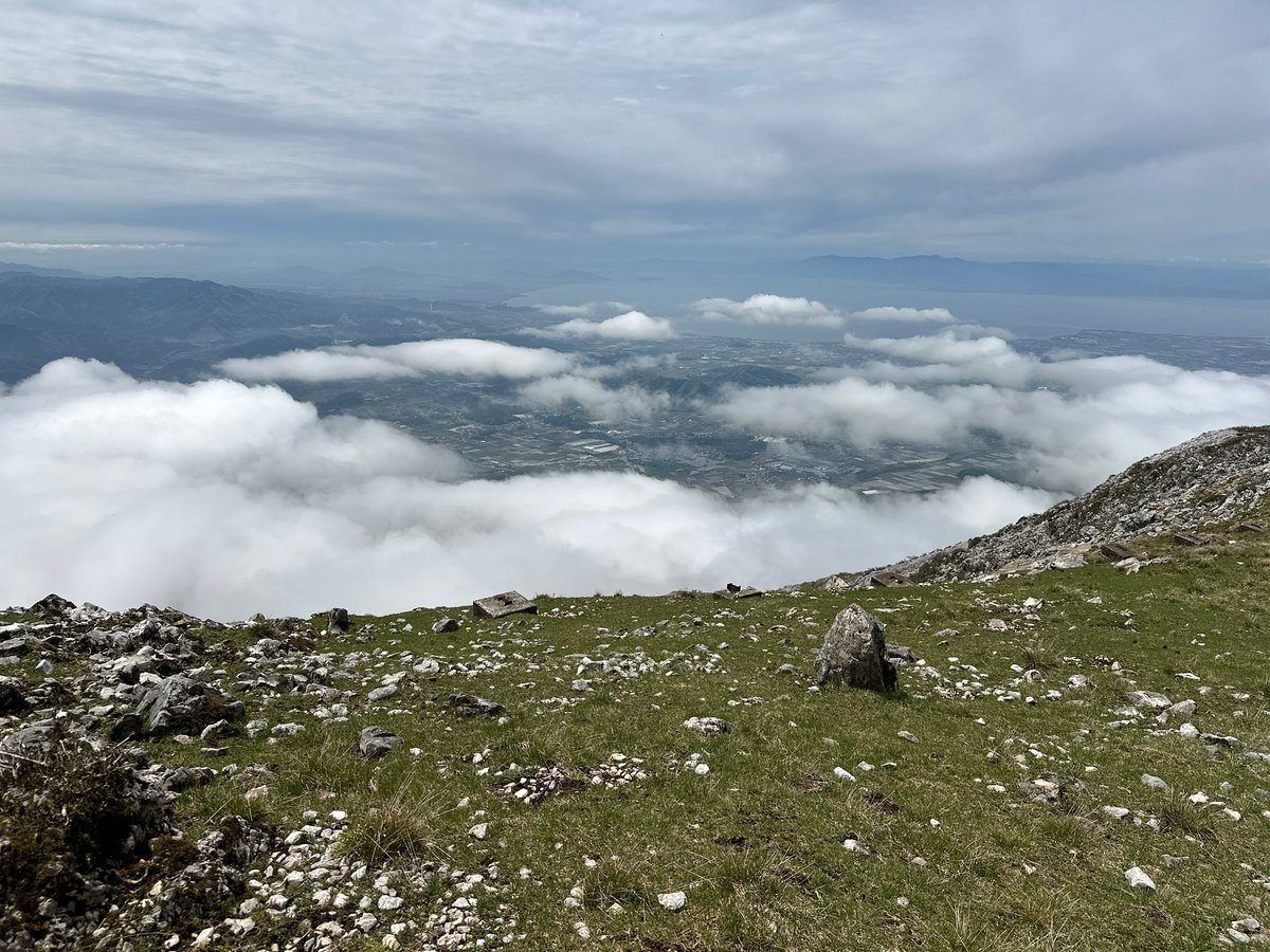 タカムラ　コウタロ tweet media