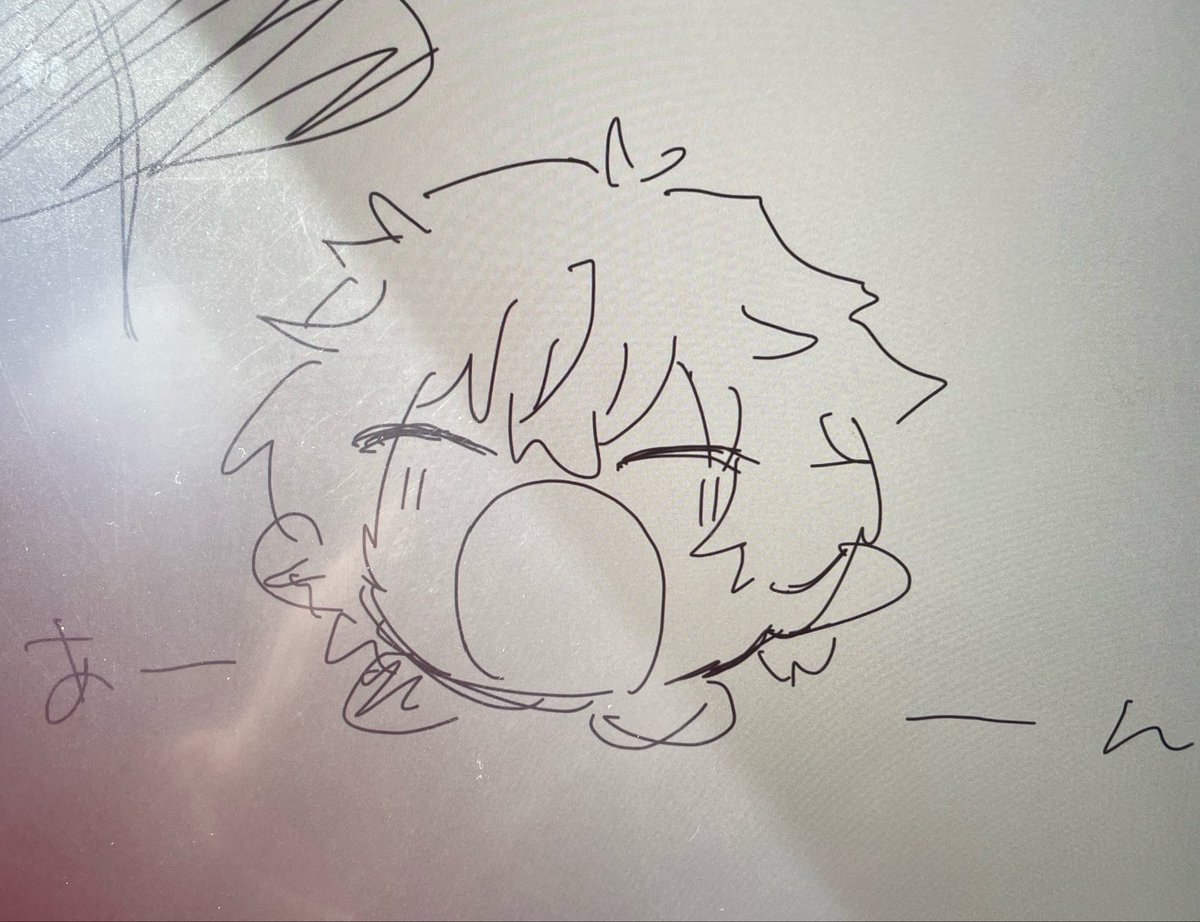 ひよこの群生地帯🐣🐤 tweet media