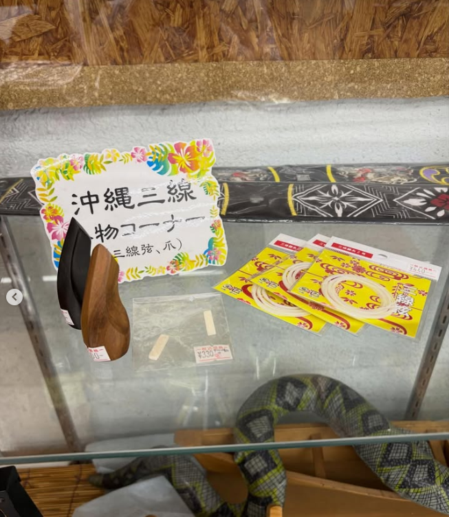 central_amami's tweet photo. 沖縄サンシンをされている方が、旅行でご来店されました。
奄美のサンシンにも触れていただきました

竹バチと爪の弾き心地や音色の違い、
使っている弦や音の高さなど、
それぞれに異なる特徴があります

奄美のサンシンや島唄を、
多くの方に知って楽しんでいただけたら嬉しいです。 https://t.co/Gg8Lej1vcl