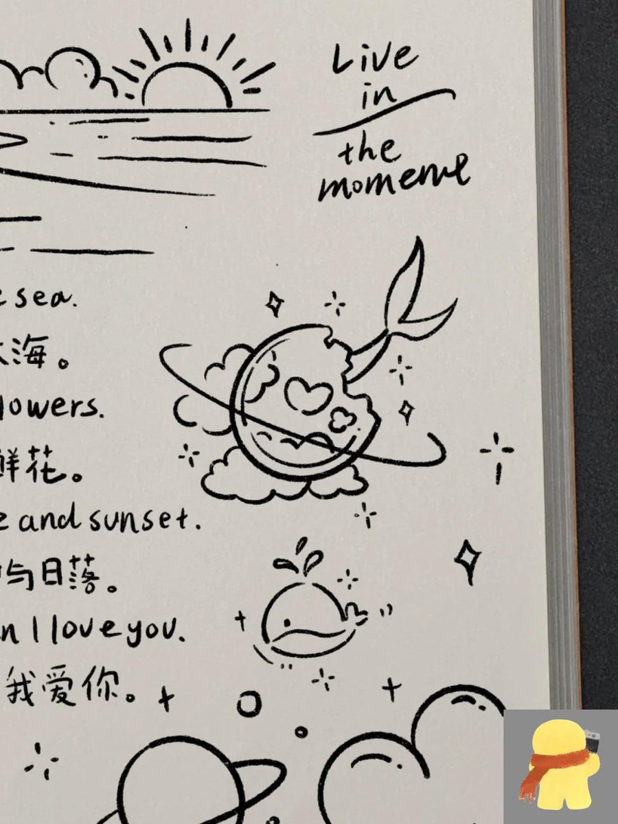 Daniel Steffen tweet media