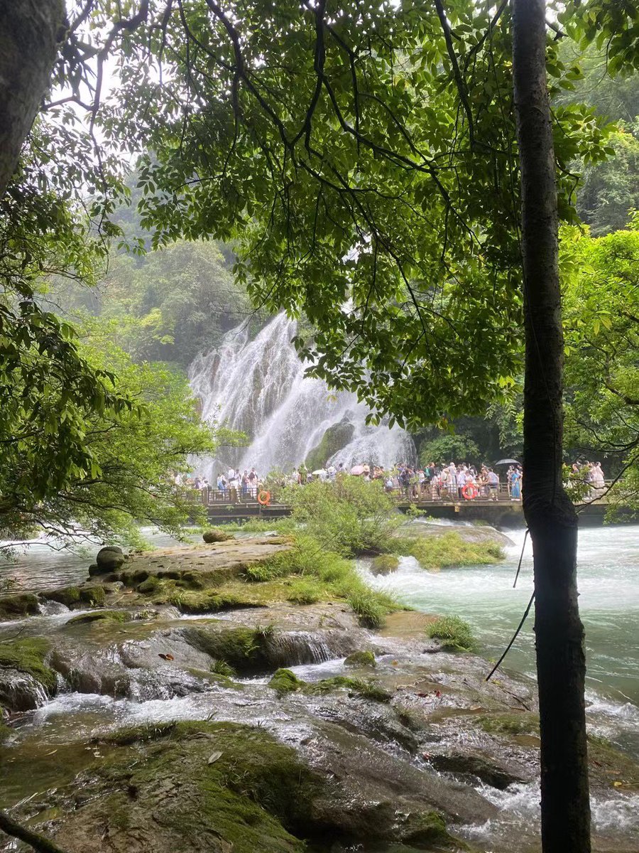 Ferhat Sayın tweet media