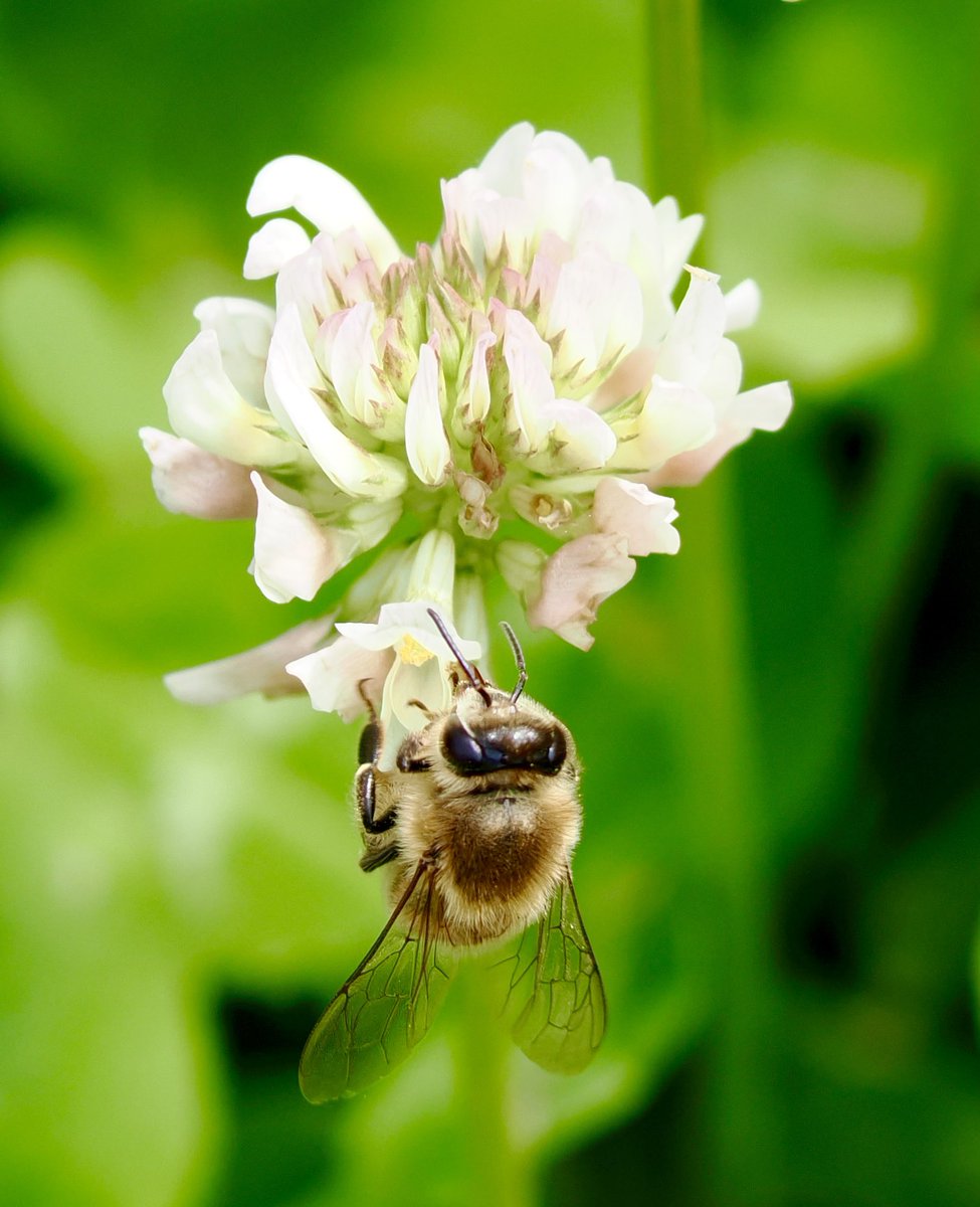 アンダーシュート🍃 tweet media