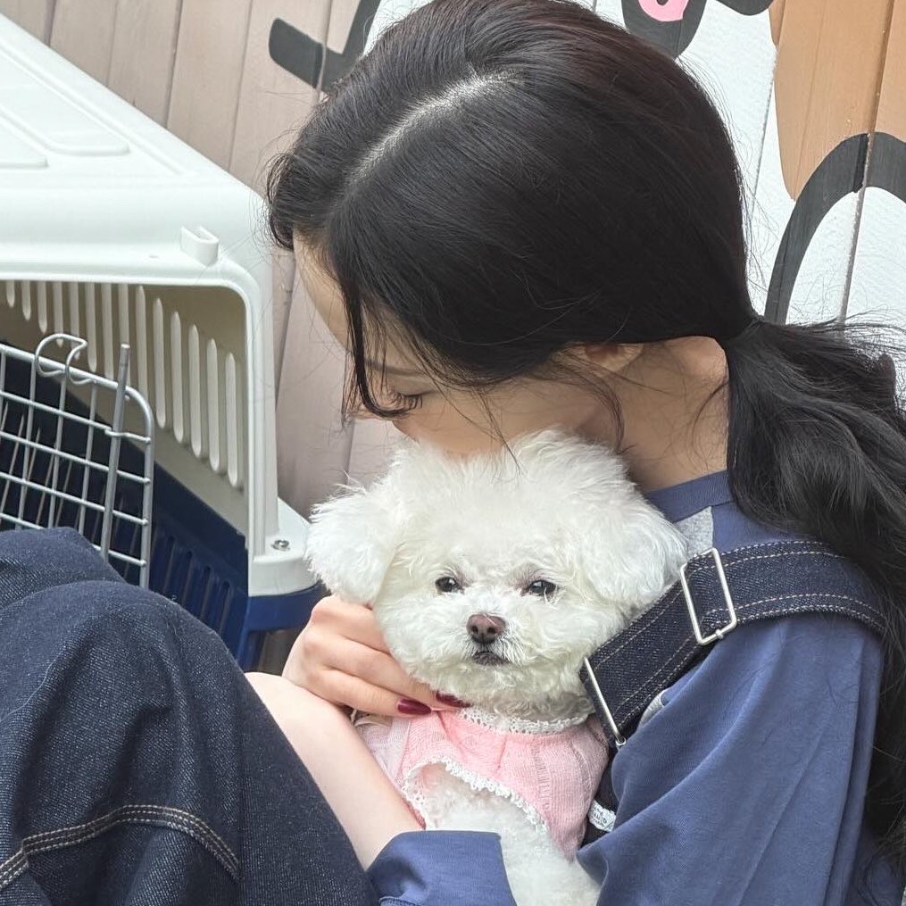 와타시 tweet media