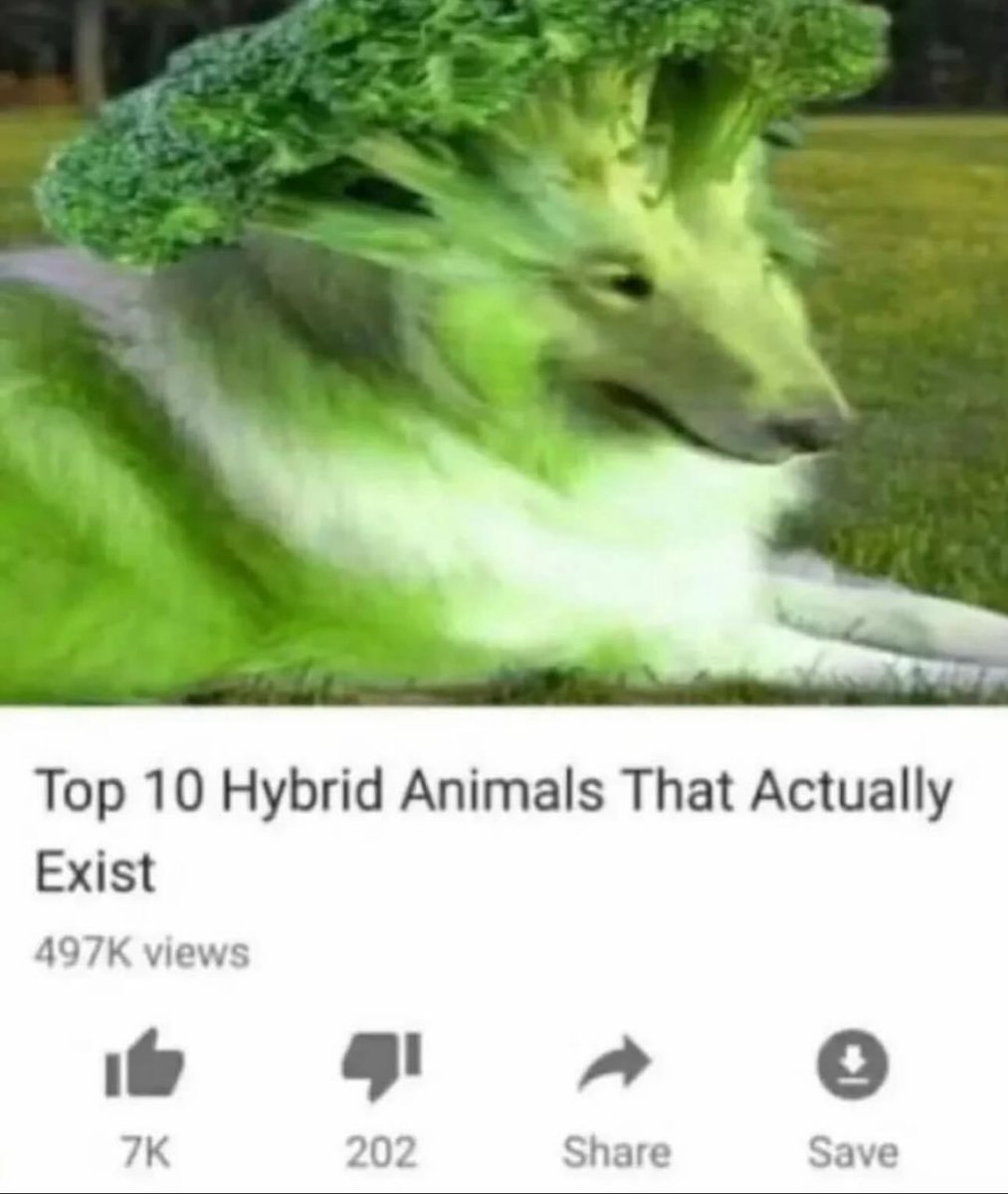 i like food tweet media