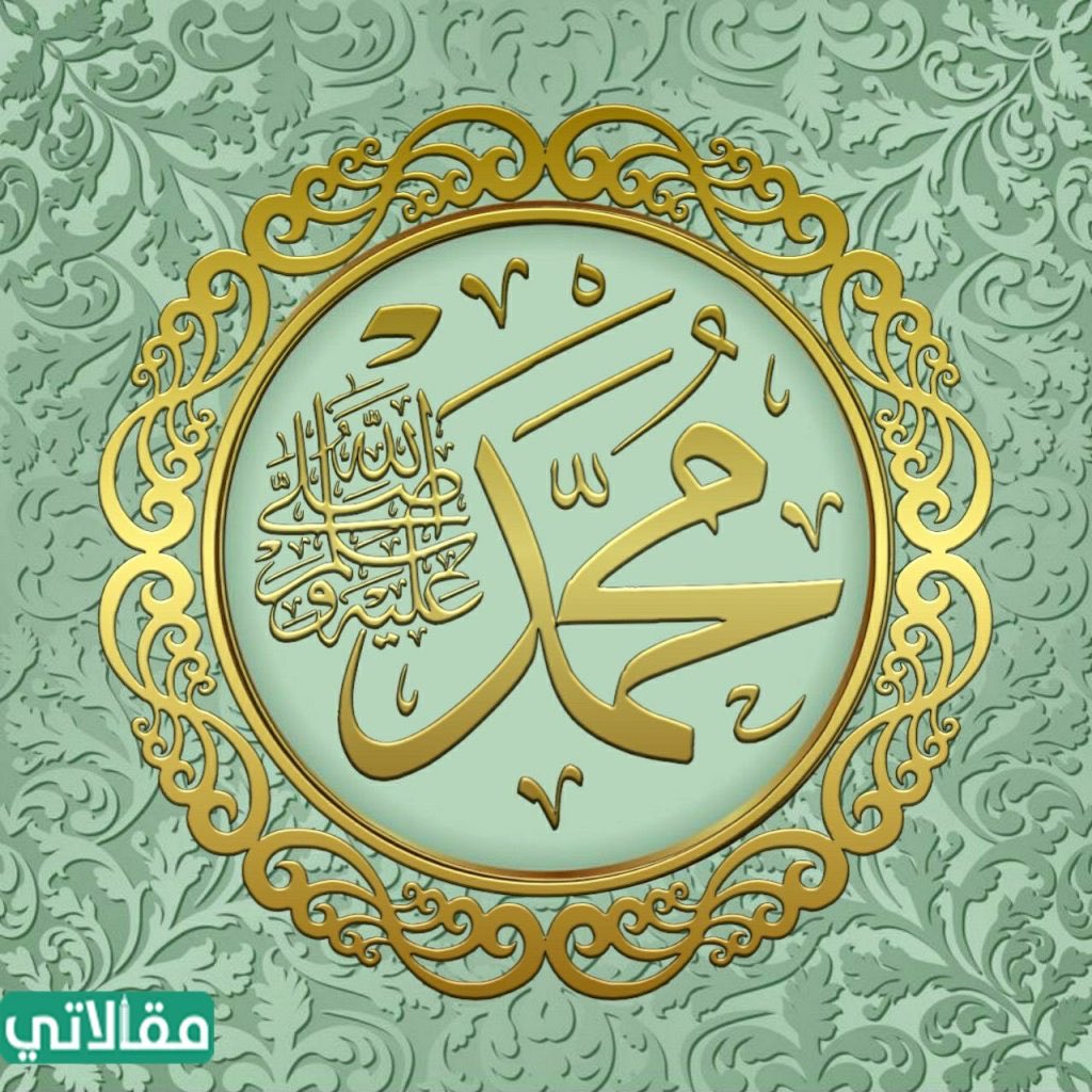 Gardenia21/3🇯🇴 tweet media