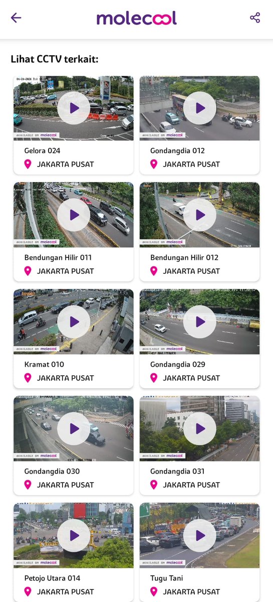 Molecool tweet media