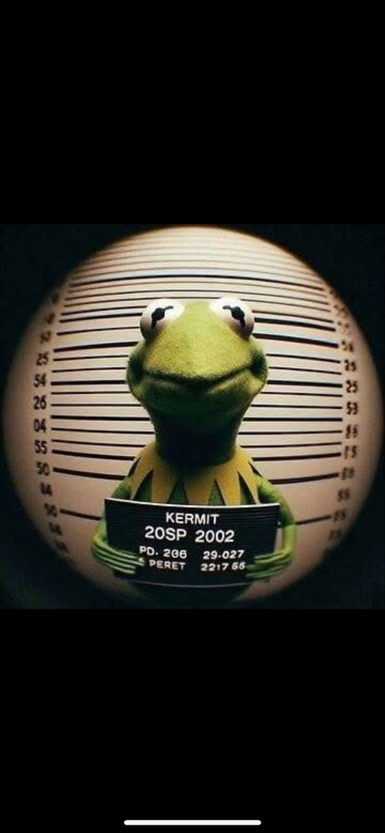 KermitX tweet media