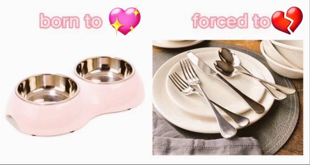 LucyFox🏳️‍⚧️ tweet media