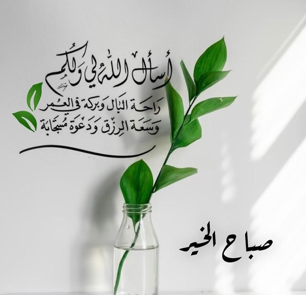 مستحيل 🇵🇸🇴🇲 tweet media