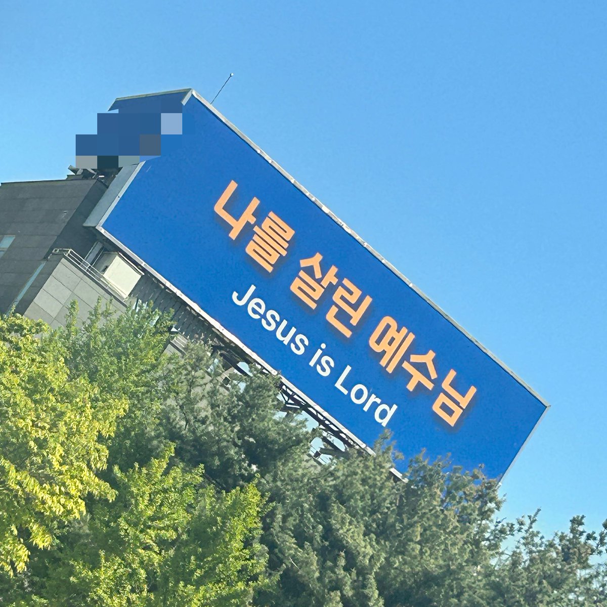지금 죽기 직전인데 뭔 소리야
나 왜 안 살려줘