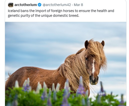 Savv tweet media