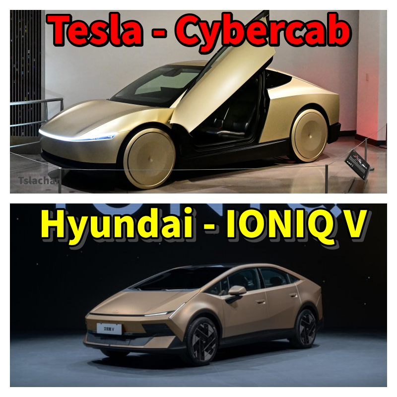 Tsla Chan tweet media