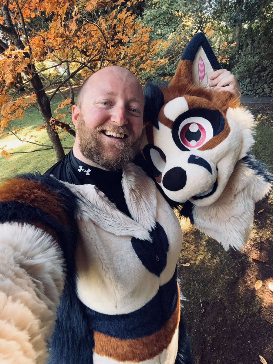 GenericFoxsuit's tweet photo. Suit vs Suiter | unmasked edition 😸 https://t.co/kLxgNIjLo8