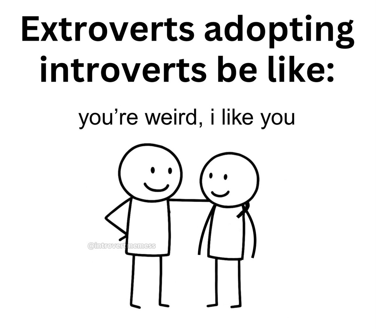 All About Introverts tweet media