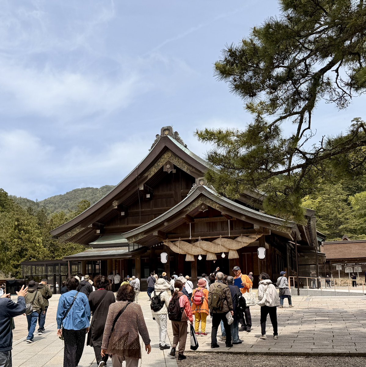 Blue Head tweet media