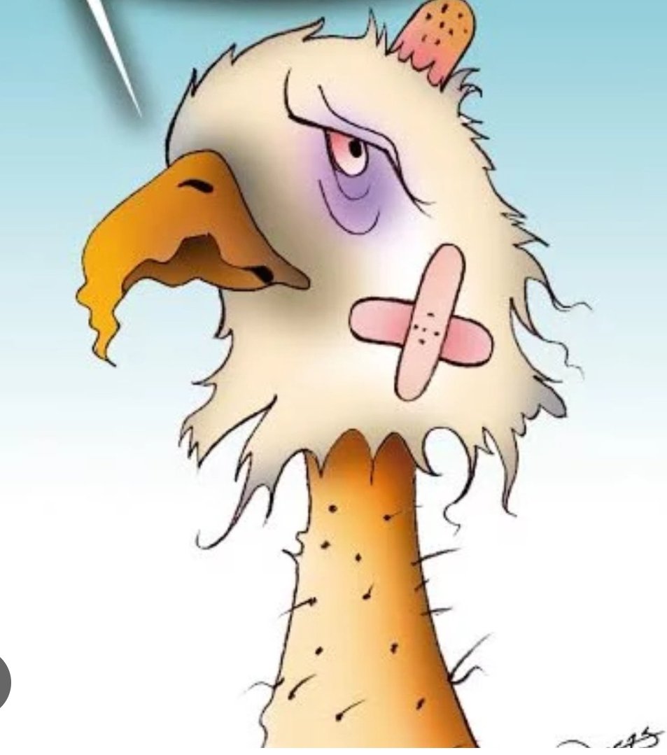 Seguidores CD Extremadura 1924 tweet media